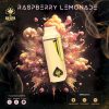 Ace ultra mini raspberry lemonade 2g disposable