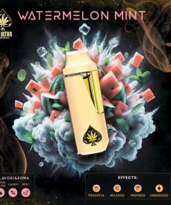 Ace ultra watermelon mint 2g disposable
