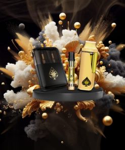 ace ultra premium price