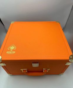 ACE ULTRA PREMIUM 2G DISPOSABLE NEW SPRING EDITION ORANGE