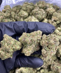 BLUE BUBBLEGUM