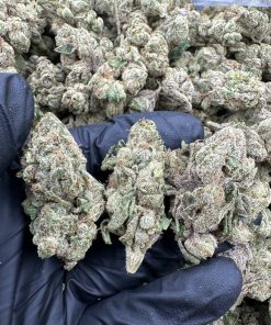 BLUE CANDY ZOURS