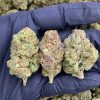 BUBBLE GELATO