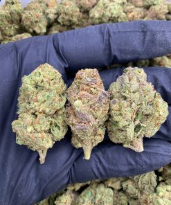 BUBBLE GELATO