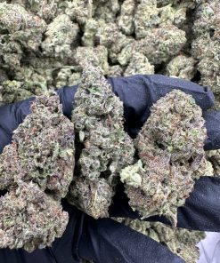 CANDY CREME