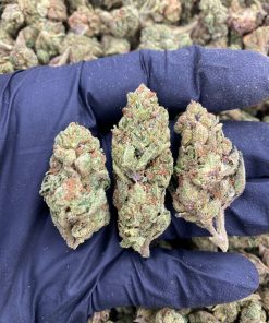CANDY GAS