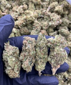 DURBAN POISON