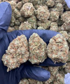 TRAINWRECK
