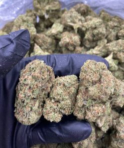 WHITE ZKITTLES