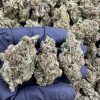 MULE FUEL