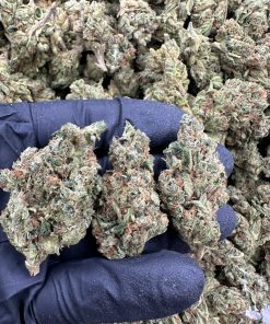 MULE FUEL