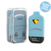 Smoothie Bar Blend Dual 2g Disposable Candy Cake (Indica) x Biskante (Sativa)