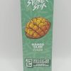 Stoner Stix Mango Tajin 2G Disposable | Hybrid