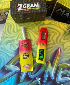 Stoner Stix Cherry Lemonz 2G Disposable | Indica