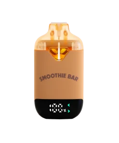 Smoothie Bar Blend 2G Disposable – Cannalope Haze x Snow Cone