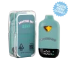 Smoothie Bar Blend 2G Disposable – Gelato 41 x Fritter Mintz